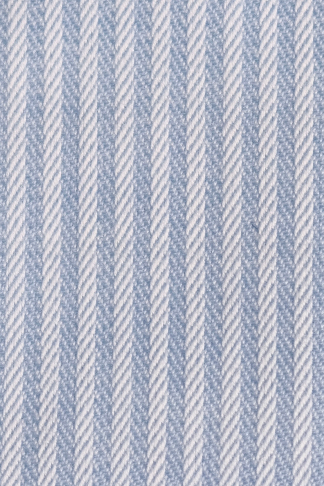 Spearpoint Collar Shirt *PRE SALE*