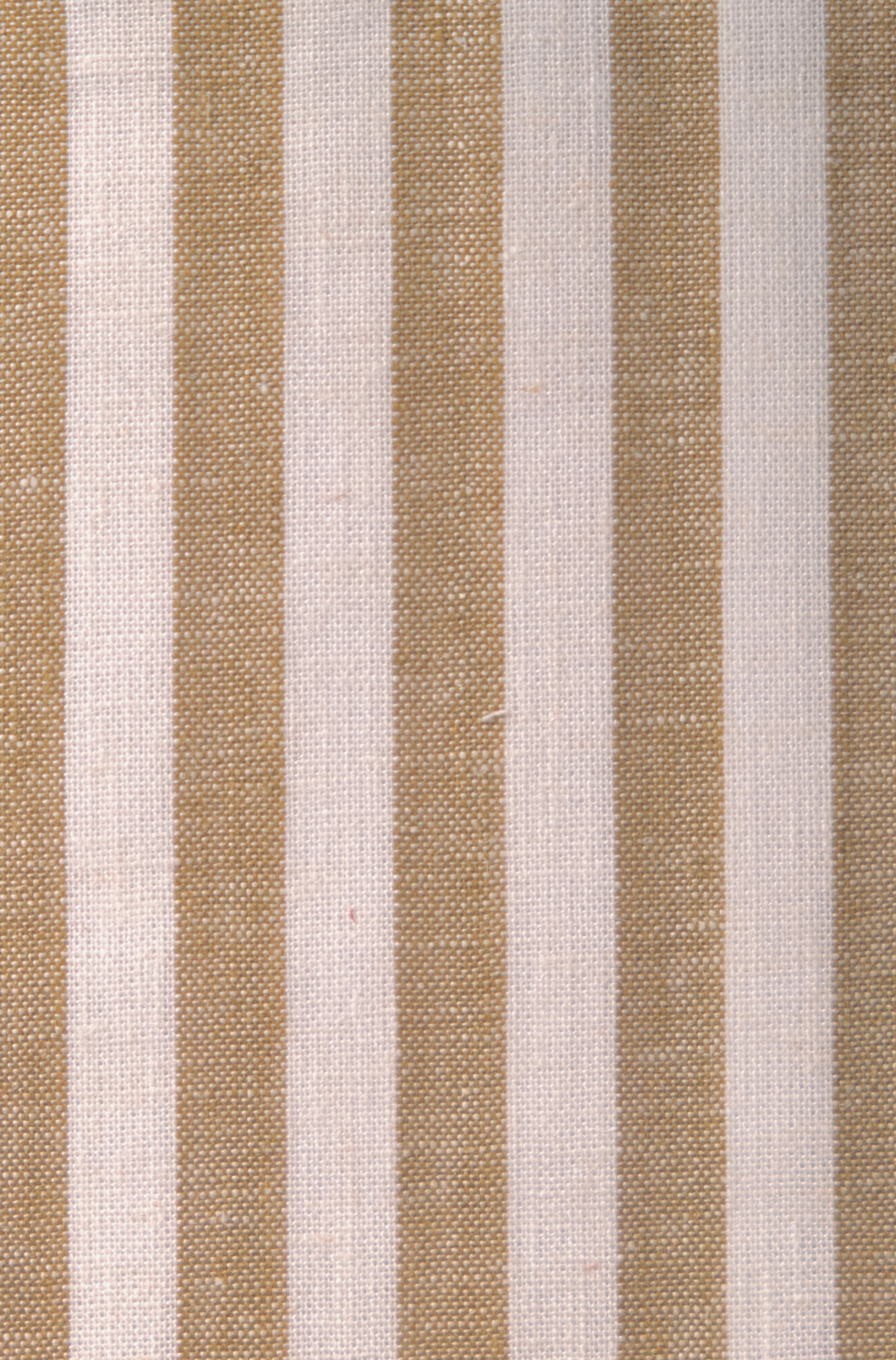 Button Down Shirt *PRE SALE*