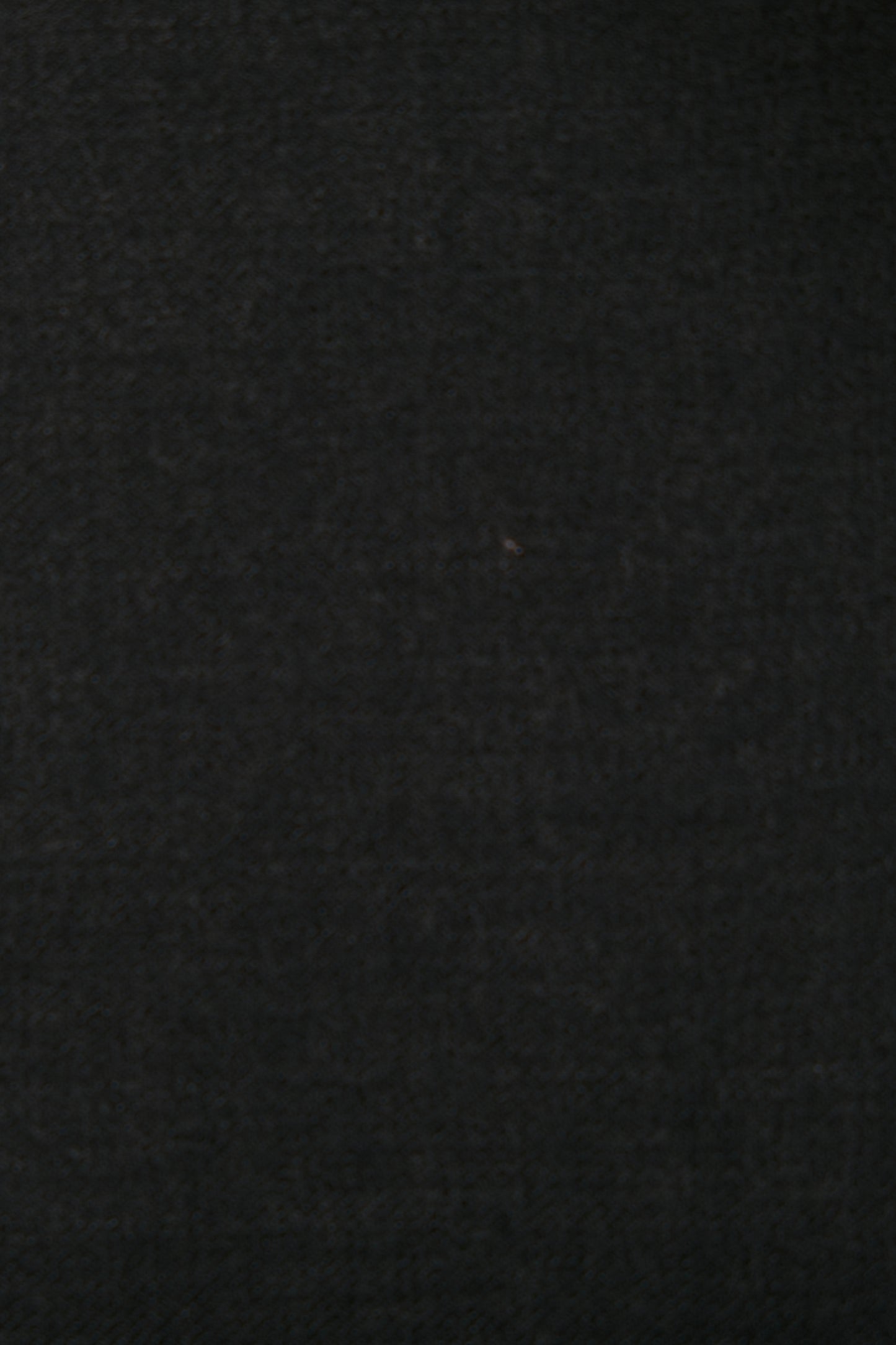 Hollywood Trouser – High Waist Bundhose nach 1930er Vorbild