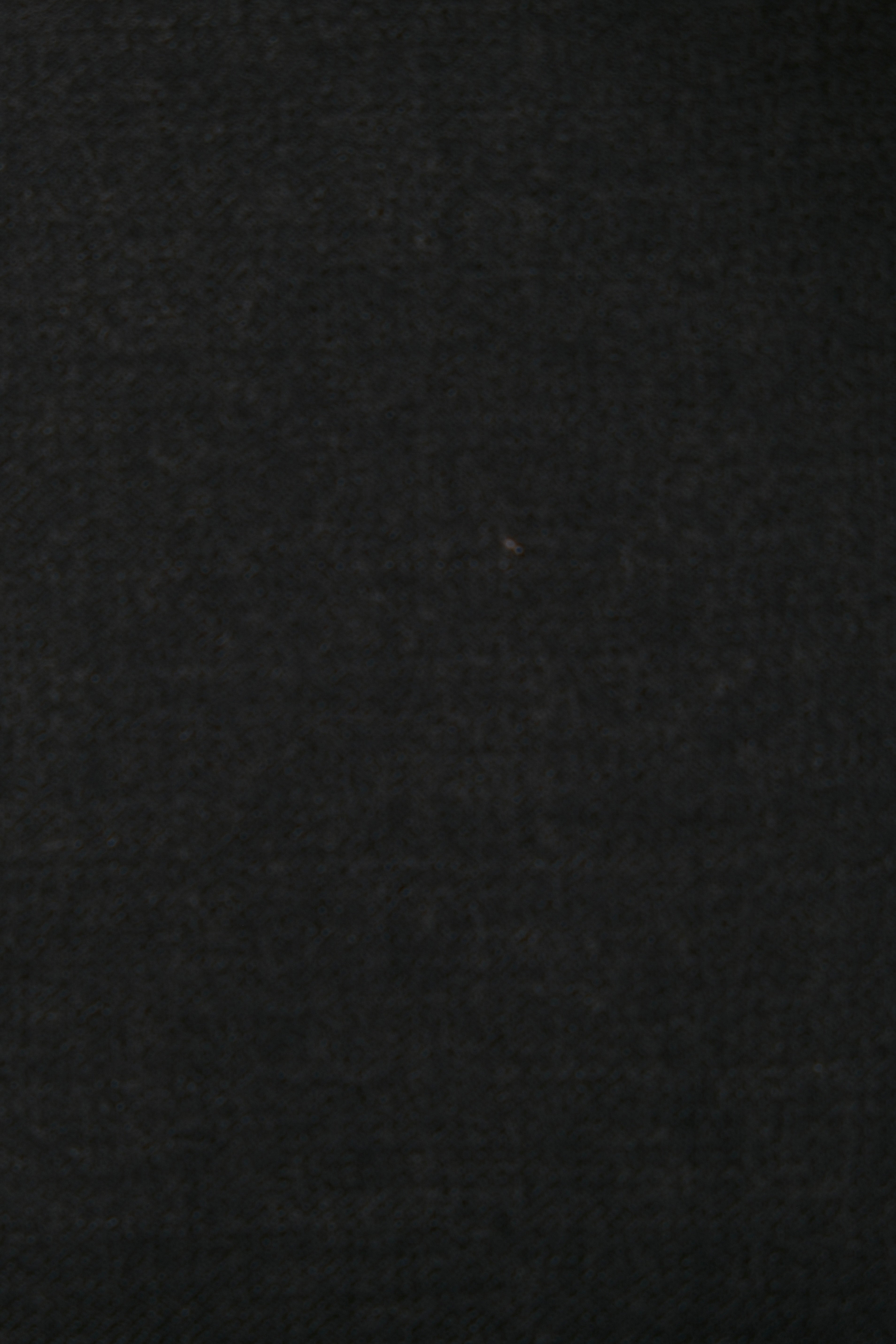 Hollywood Trouser *PRE SALE*