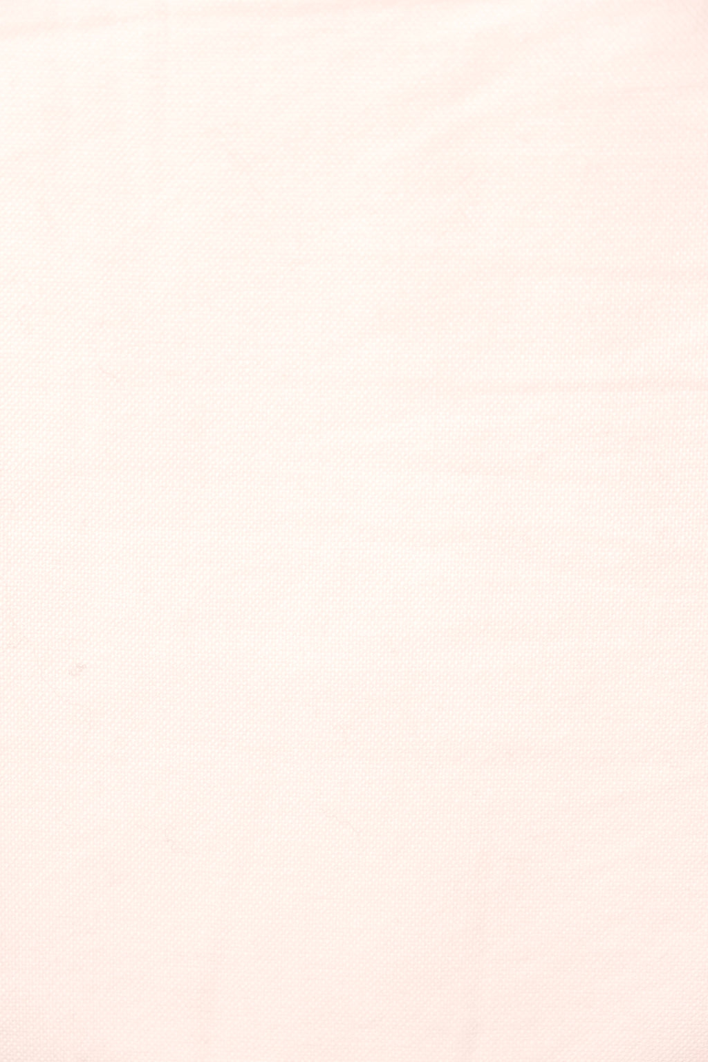 Button Down Shirt *PRE SALE*