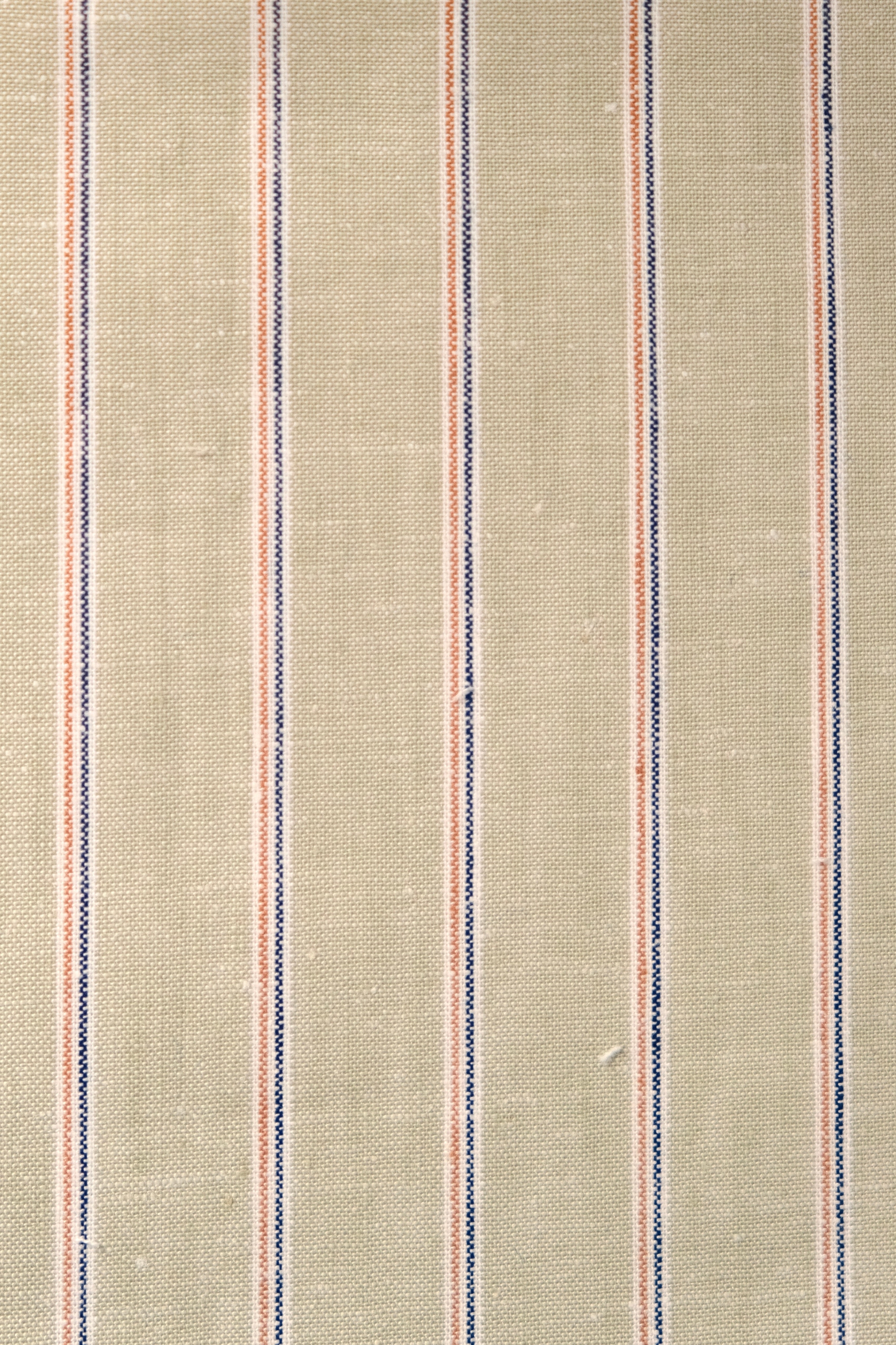 Spearpoint Collar Shirt *PRE SALE*