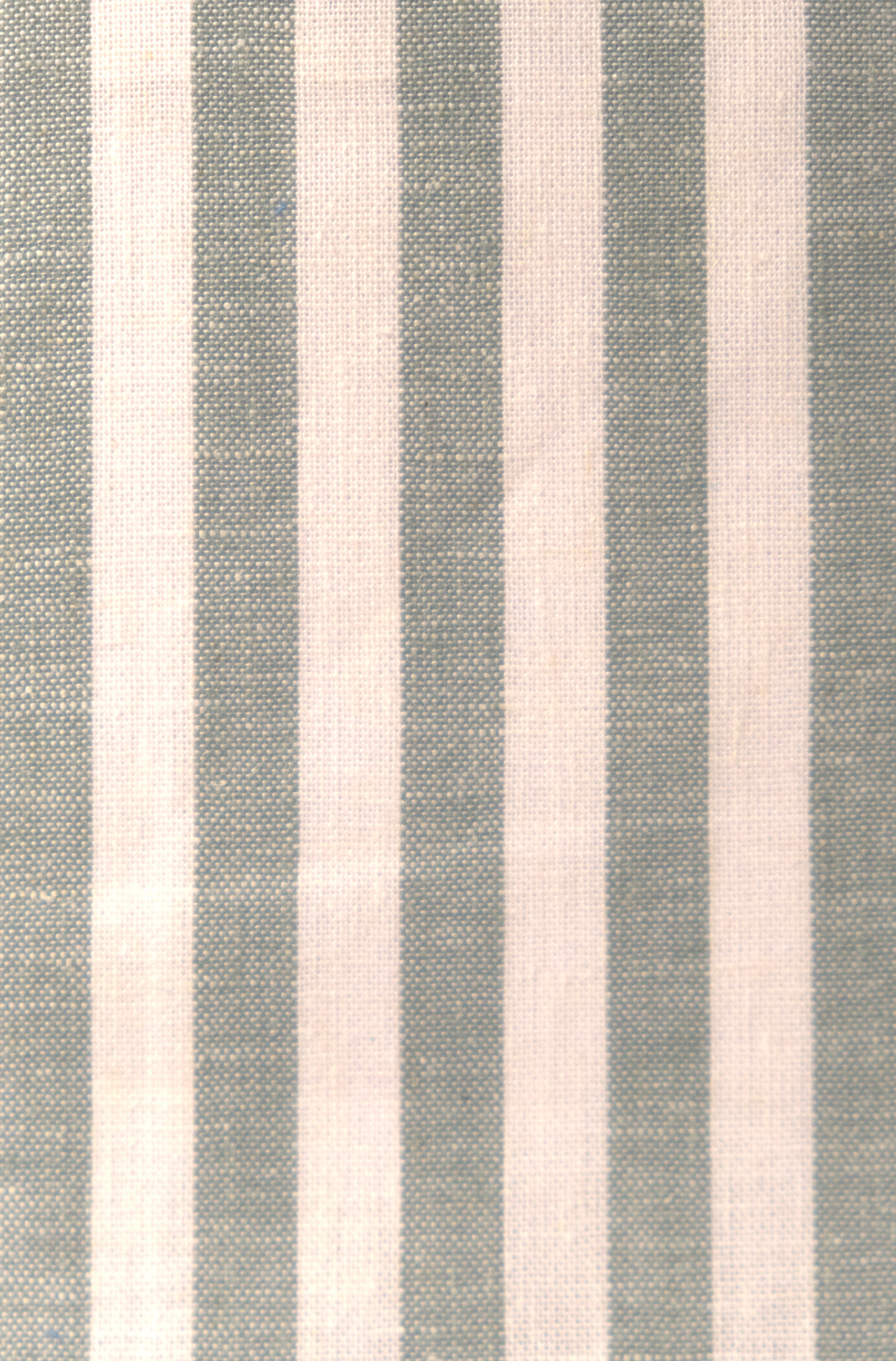 Button Down Shirt *PRE SALE*